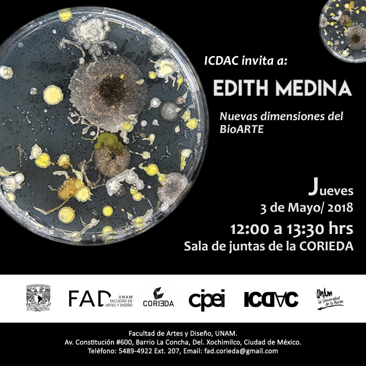 edith medina cuadrado